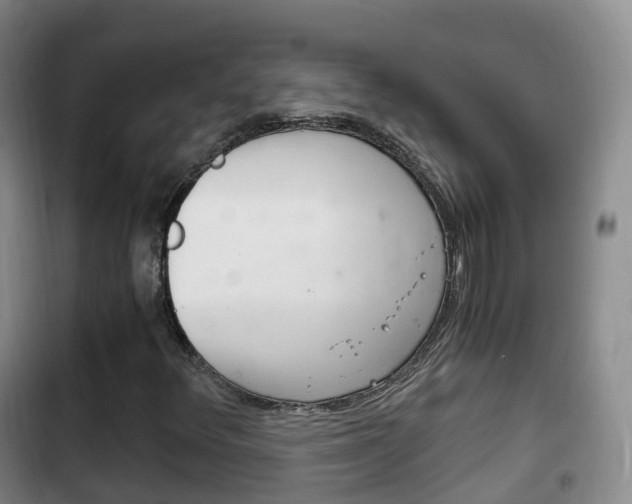 X0000102761348200808180922