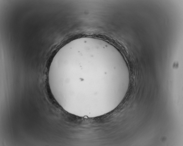 X0000102761349200808180922