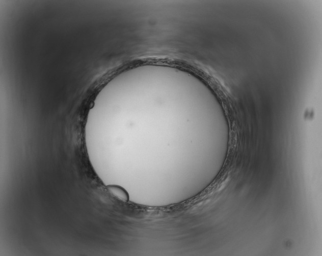 X0000102761350200808180922