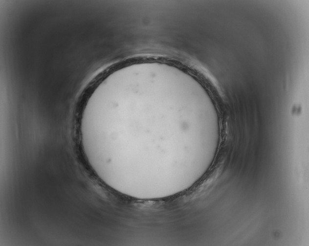 X0000102761352200808180921
