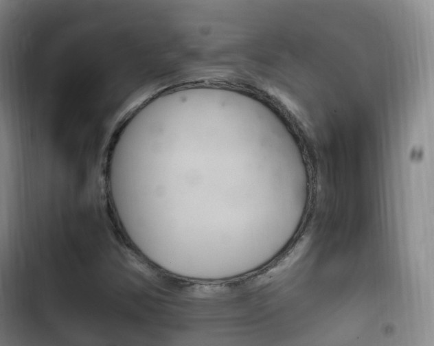 X0000102761354200808180921