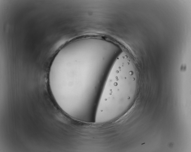 X0000102761355200808180921