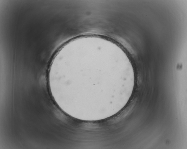 X0000102761356200808180921