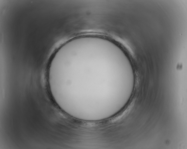 X0000102761357200808180921