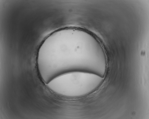 X0000102761359200808180921