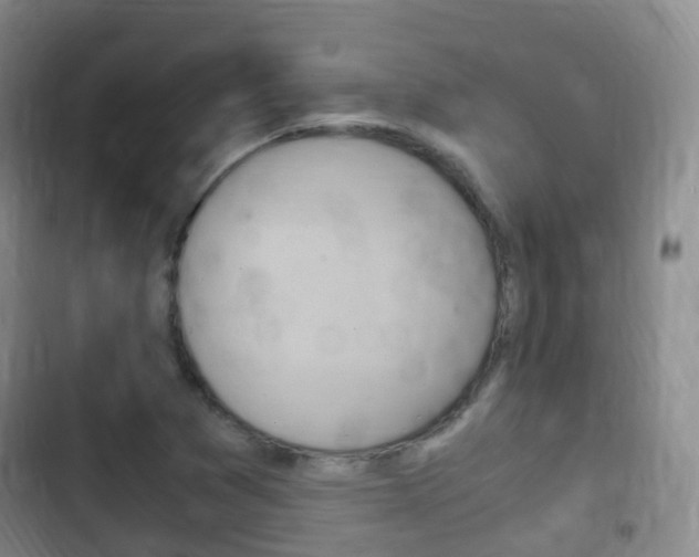 X0000102761361200808180921