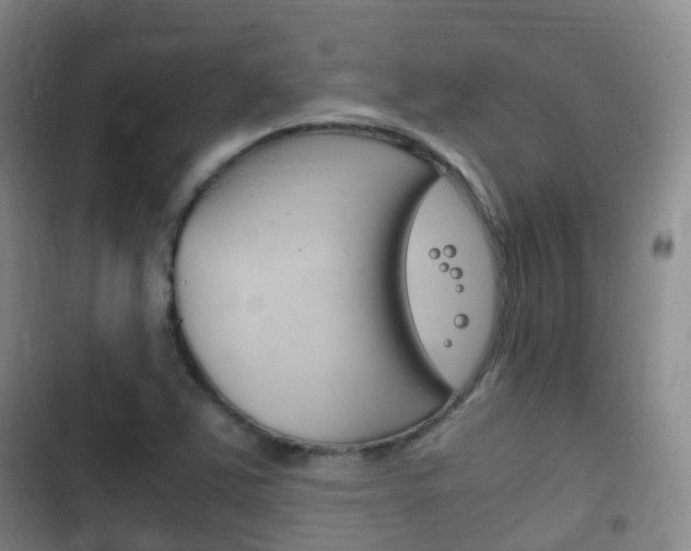 X0000102761363200808180921
