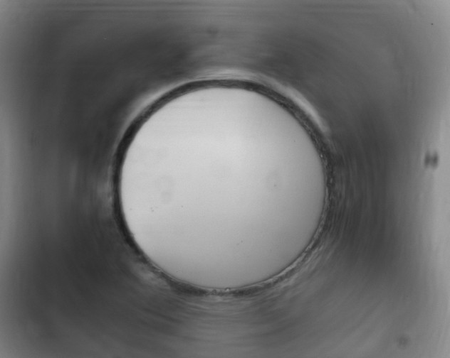 X0000102761364200808180921