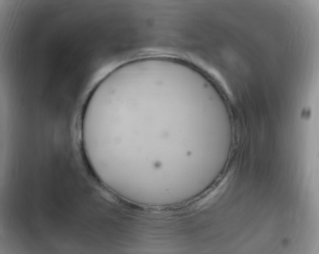 X0000102761365200808180921