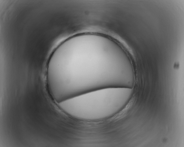 X0000102761366200808180921