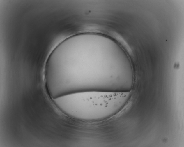 X0000102761370200808180921