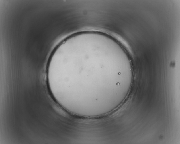 X0000102761372200808180921