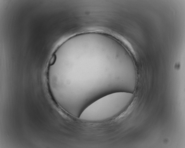 X0000102761373200808180921