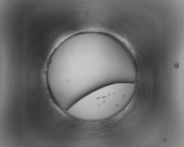 X0000102761374200808180921