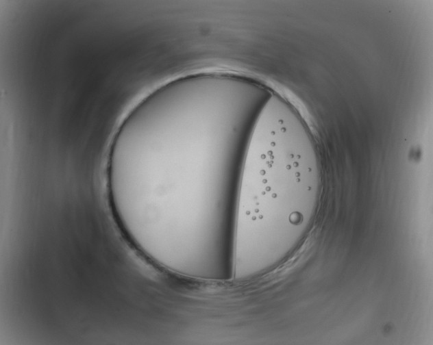 X0000102761375200808180921
