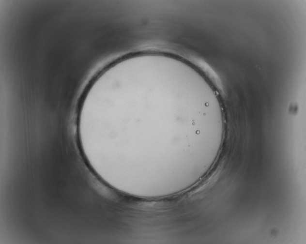 X0000102761376200808180921
