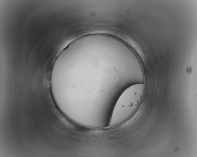 X0000102761377200808180921