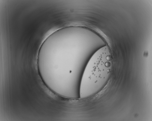 X0000102761378200808180921