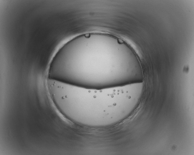 X0000102761379200808180921