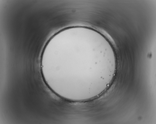 X0000102761380200808180921