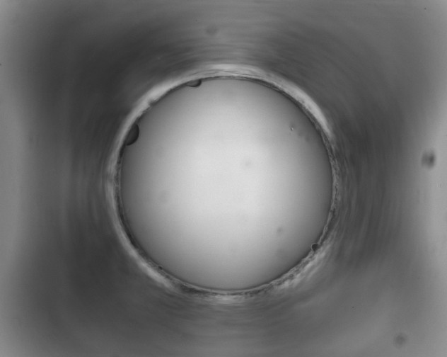 X0000102761381200808180921