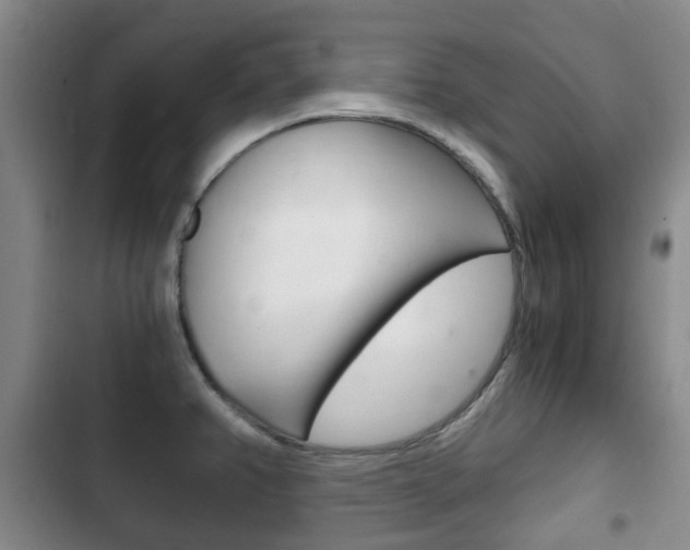 X0000102761382200808180921