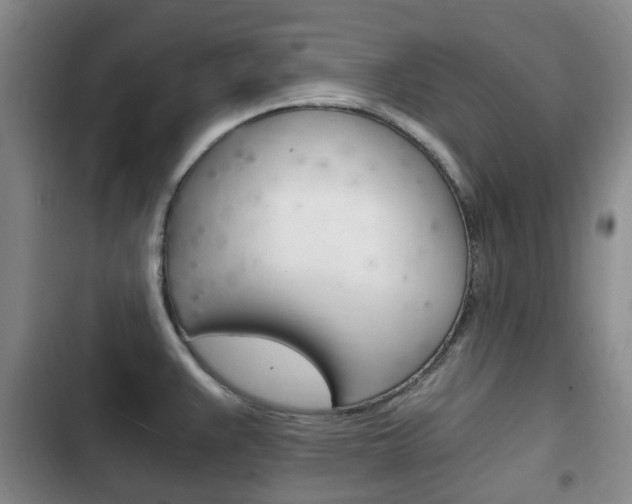 X0000102761383200808180921