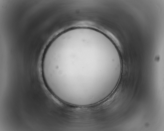 X0000102761384200808180921