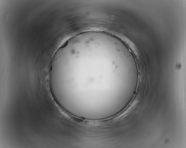 X0000102761385200808180921