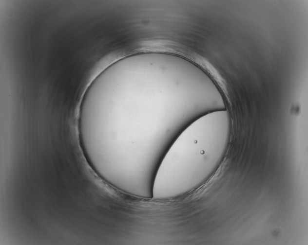 X0000102761386200808180921