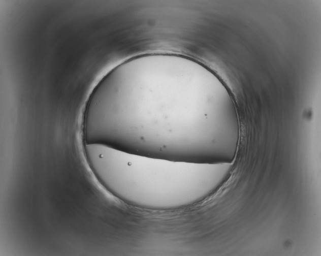 X0000102761387200808180921