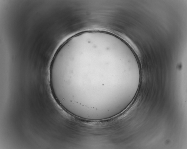 X0000102761388200808180921