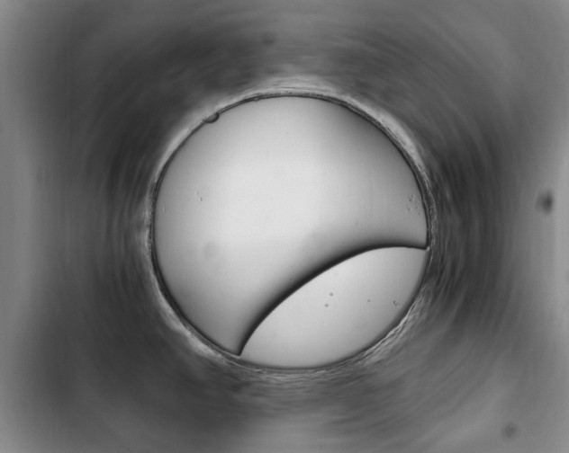 X0000102761390200808180921