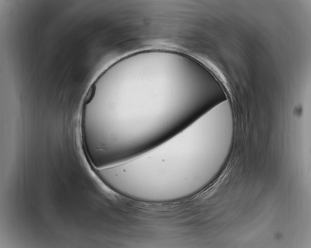 X0000102761391200808180921