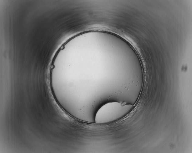 X0000102761392200808180921