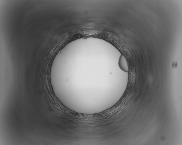 X0000102761393200808180920