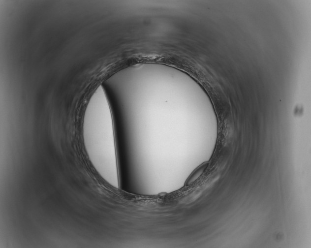 X0000102761394200808180920