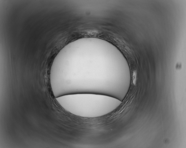 X0000102761395200808180920