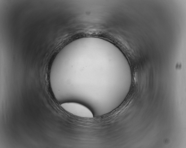 X0000102761396200808180920