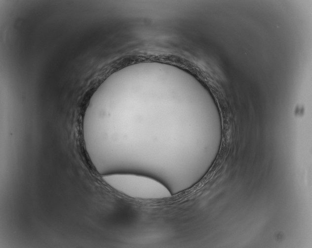 X0000102761397200808180920