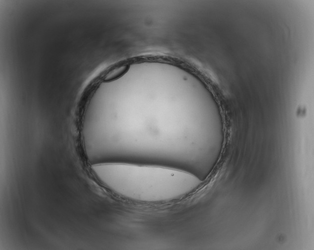 X0000102761400200808180920