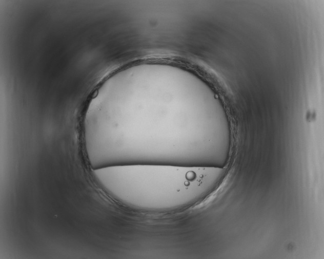 X0000102761401200808180920