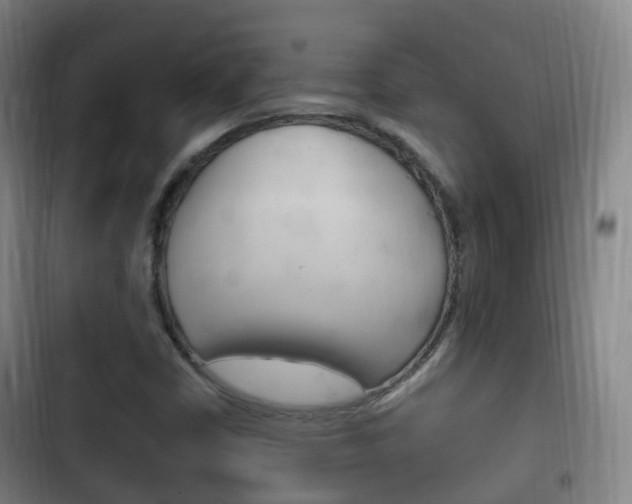 X0000102761402200808180920