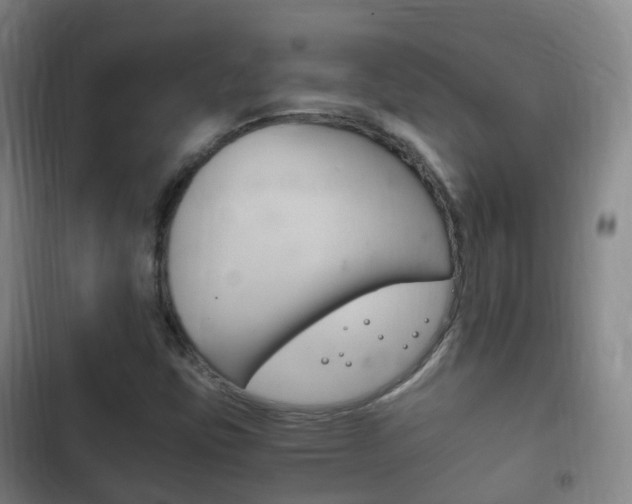 X0000102761403200808180920
