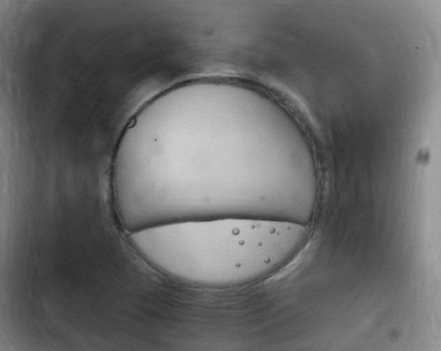 X0000102761409200808180920