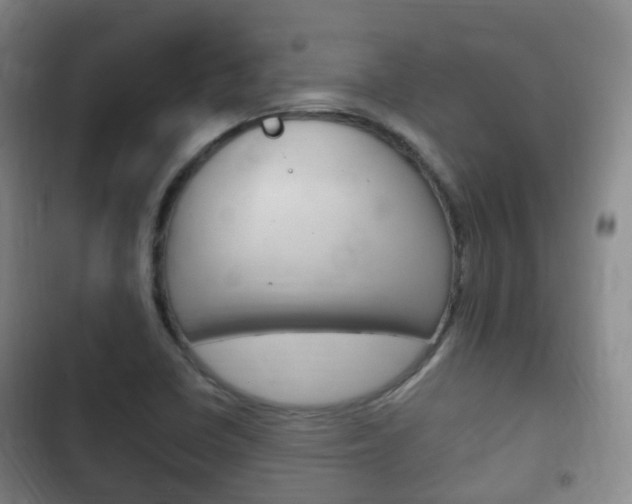 X0000102761410200808180920