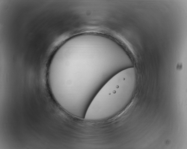 X0000102761411200808180920