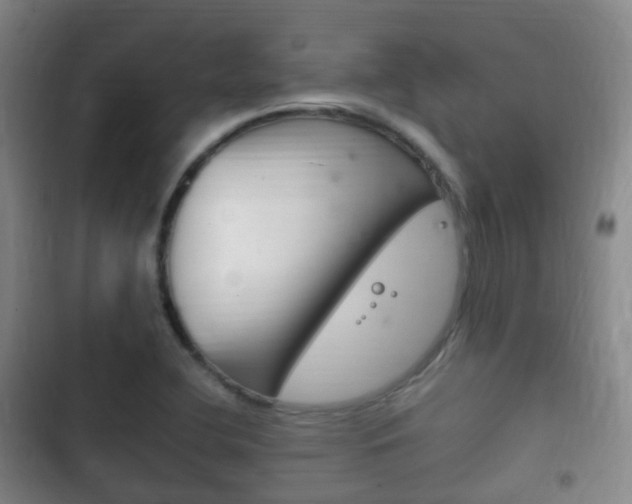 X0000102761412200808180920