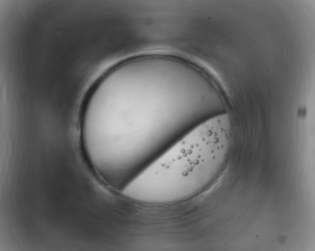 X0000102761414200808180920