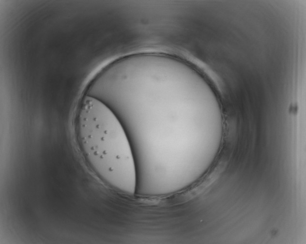 X0000102761415200808180921